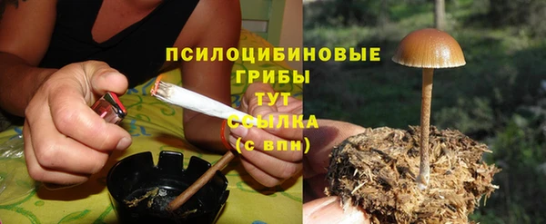 спайс Зеленодольск