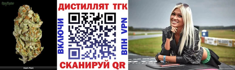 Купить где  Шиханы  ТГК гашишное масло 