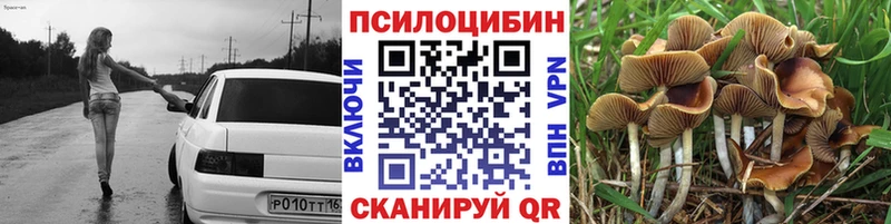 Псилоцибиновые грибы Magic Shrooms  Купить где  Шиханы 